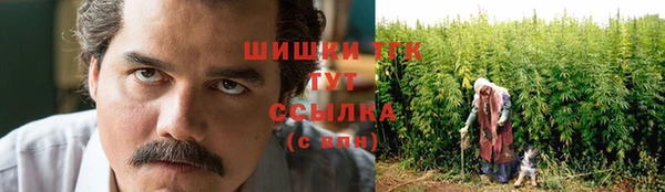 Альфа ПВП Дмитровск