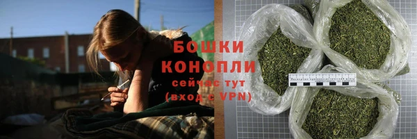 прущая мука Дмитриев