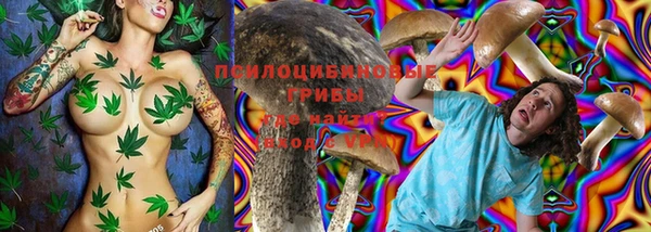 ПСИЛОЦИБИНОВЫЕ ГРИБЫ Дмитров