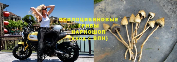 прущая мука Дмитриев