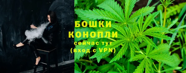 прущая мука Дмитриев