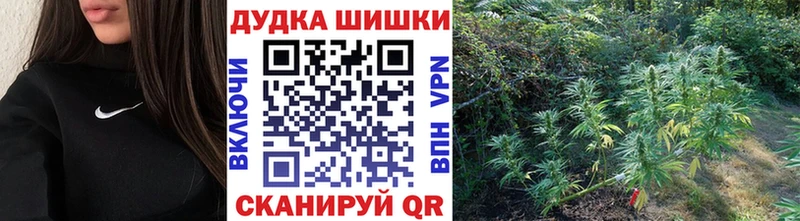 Канабис Amnesia  KRAKEN рабочий сайт  Зеленогорск  что такое  
